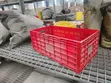Egg Transport Crate - Brand New - 2
