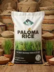 Paloma White Rice (5KG-50KG) - 2