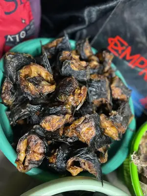 Kifin Kaduwar Da Aka Busar A Gidan Gasa