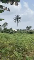 Duk da Rukunin Ƙasa ɗaya da Rabin da za a sayar a Oloshaoko, Moniya - 3