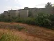 Plot of Land with 4 Shops & Fruit Trees in Okanran, Ogun State - 4
