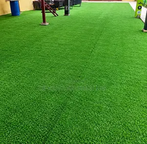Tsayayyen Ciyawa ta Wucin Gadi (Astroturf)
