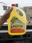 Canola Oil - 5 Liters Carton - 1