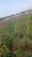 3000sqm Land for Sale in Ushafa, Abuja - 3