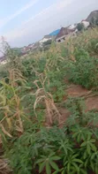3000sqm Land for Sale in Ushafa, Abuja - 5