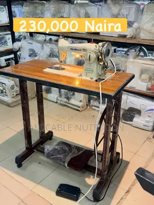 Heavy Duty Sewing Machine