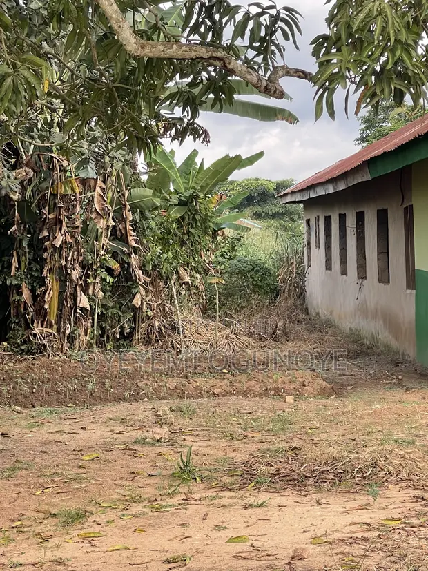 Land for Sale in Akure - Developed Area - 1