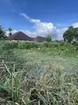Land for Sale in Akure - Developed Area - 2