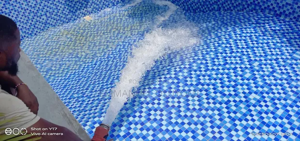 Pool Pro Ng Swimming Pool Cleaning Services - 1