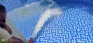Pool Pro Ng Swimming Pool Cleaning Services
