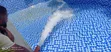 Pool Pro Ng Swimming Pool Cleaning Services - 1