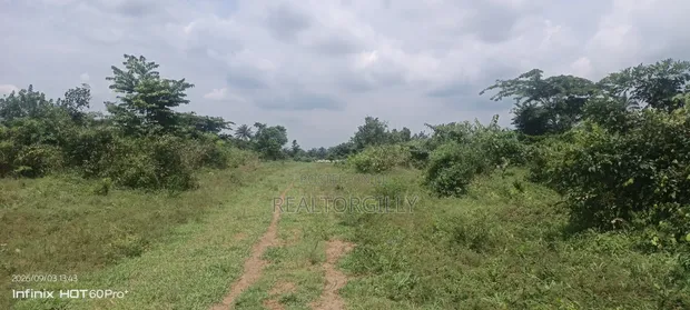 Commercial Land for Sale - Abara Etche - 1