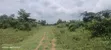 Commercial Land for Sale - Abara Etche - 1