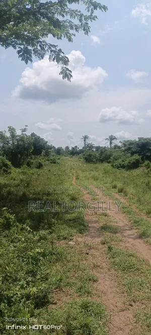 Commercial Land for Sale - Abara Etche