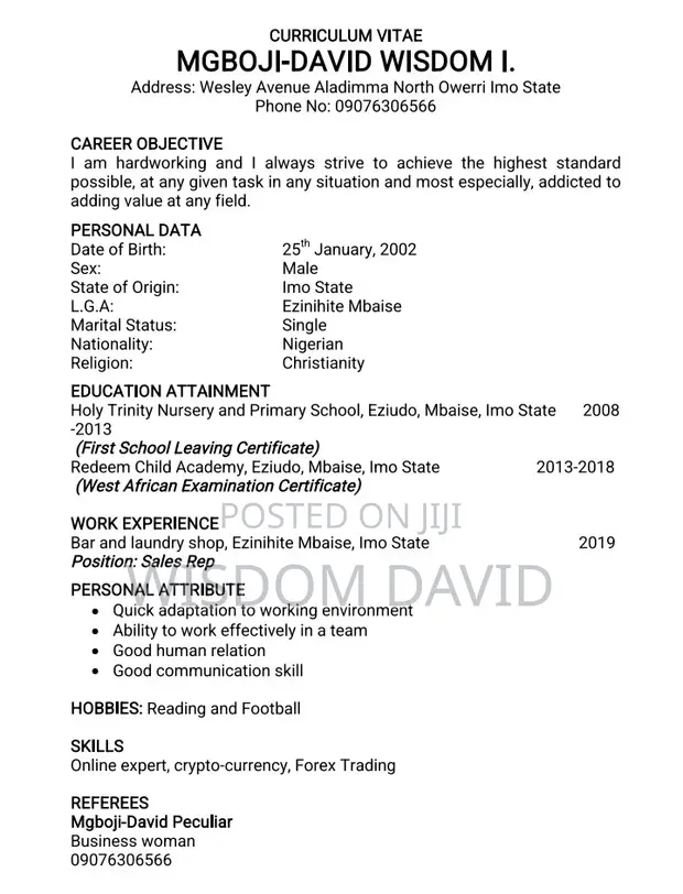 Professional Dispatch Rider & Trader Seeking Opportunity - 1