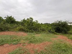 1 Plot of Land at Imodi-Ijasi, Ijebu-Ode, Ogun State