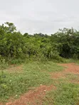 1 Plot of Land at Imodi-Ijasi, Ijebu-Ode, Ogun State - 3
