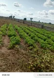 Residential Plot of Land for Sale, Kuje - 2