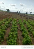 Residential Plot of Land for Sale, Kuje - 5