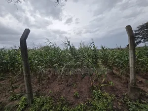 Hekta 8 na Filin Masana'antu, Dikko Junction