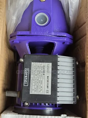 HP Lorenzi 1 HP Injin Famfo Na Sama