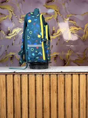 Quality Padded School Backpack for Boys & Girls