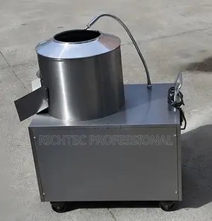 High Quality Automatic Industrial Potato & Ginger Peeler