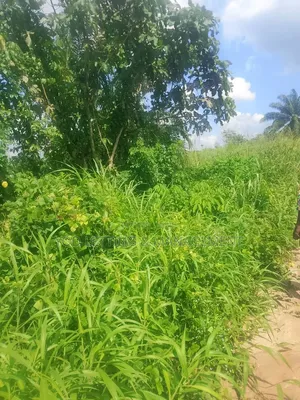 100x100 Ft Residential Land for Sale in Ayen, Edo State