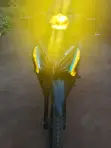 Daylong DL110-55 2024 Motorcycle - 5