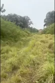 Commercial Land for Sale - Lekki Expressway - 4