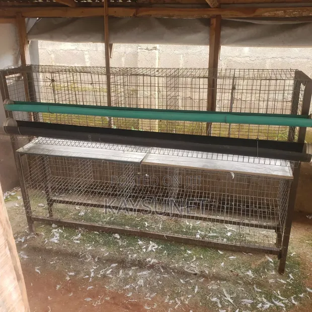 2 Single Battery Cages for 30 Chickens Each - 1