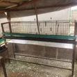 2 Akwatin Baturi Daya-Daya na Kaji 30 Kowane - 2