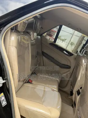 2013 Mercedes-Benz M Class ML 350
