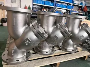 8" Y Steel Flange Strainer