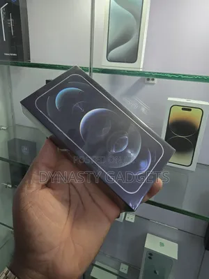 New Apple iPhone 12 Pro Max 256GB Silver