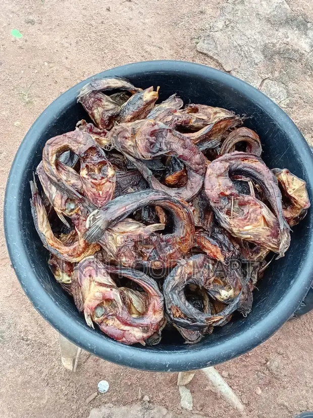 Alpha Foods Dried Catfish - 10kg - 1