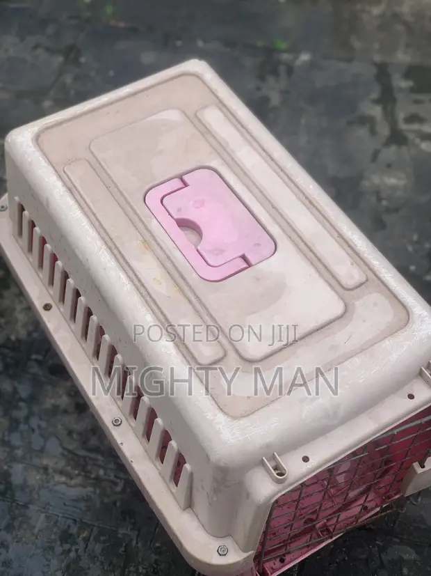 Used Pink Plastic Pet Crate - 1