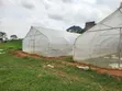 Ginin Greenhouse 10x30m da Shigarwa - 3