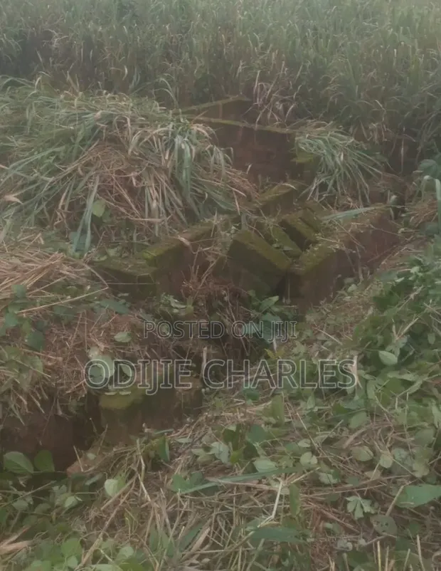 Filin 100x100ft da Ginin Kasa a Ikpoba-Okha - 1
