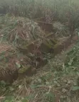 Filin 100x100ft da Ginin Kasa a Ikpoba-Okha - 1