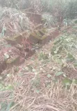 Filin 100x100ft da Ginin Kasa a Ikpoba-Okha - 2