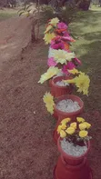 Artificial Flowers with Design Pot - 2