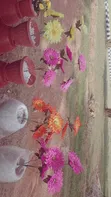 Artificial Flowers with Design Pot - 3