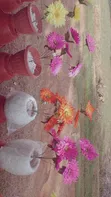 Artificial Flowers with Design Pot - 4