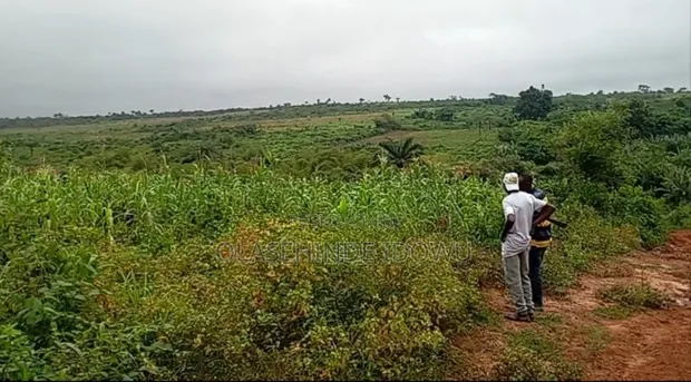 Farmland for Sale in Idele Village, Ogun State - 1