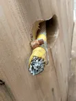 120mm Aluminum Conductor Cable - 1