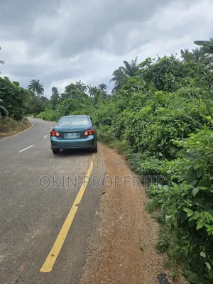 250 Acres na Kasuwanci a Iragbiji