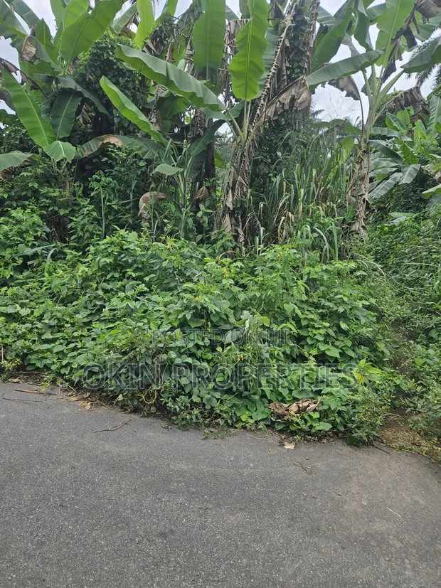 105 Acres na Filin Kasuwanci don Siyarwa, Iragbiji - 1