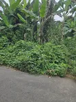 105 Acres na Filin Kasuwanci don Siyarwa, Iragbiji - 1