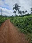 Acre 8 na Filaye don Siyarwa, Garin Oore - 1